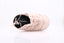 REPETTO - Gentiane Mule - Rose
